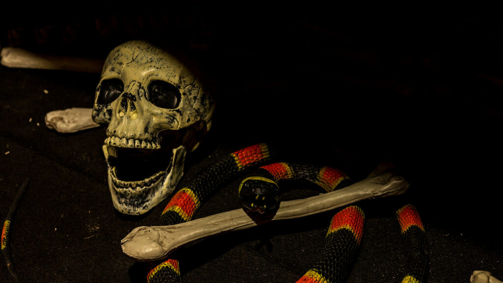 Catacomb Jones